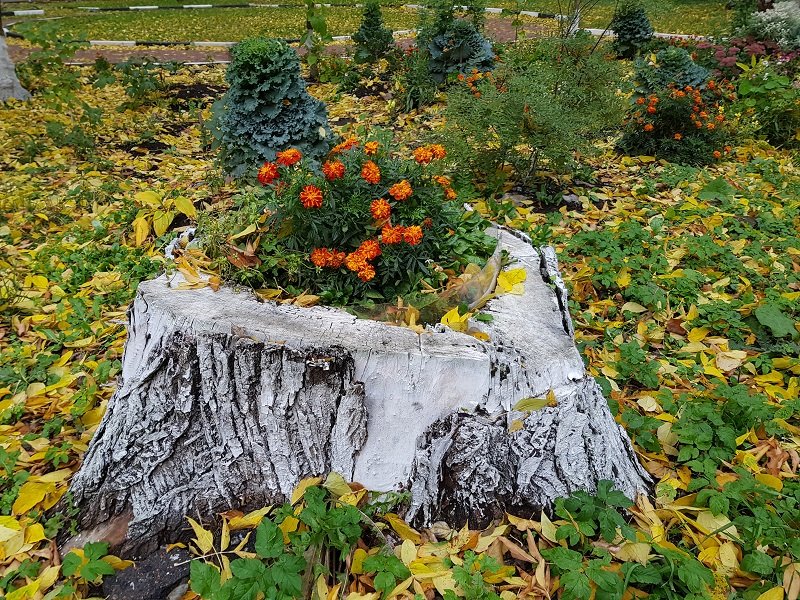 Создаем поделки из пней и коряг сами